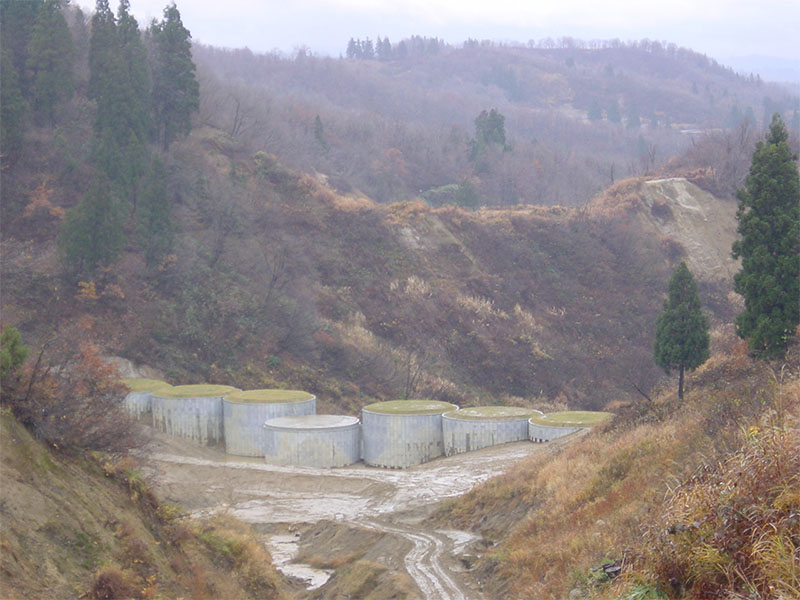 スーパーセル共生機構株式会社