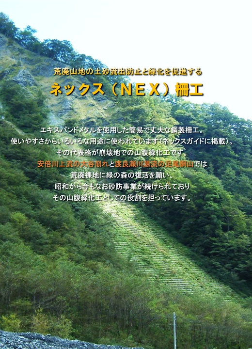サンプル
