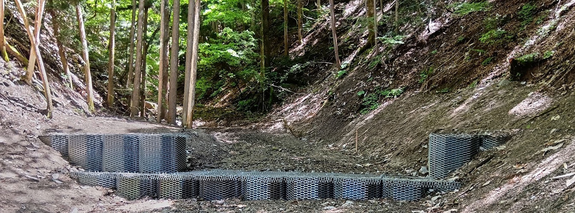 メインビジュアルスライド6