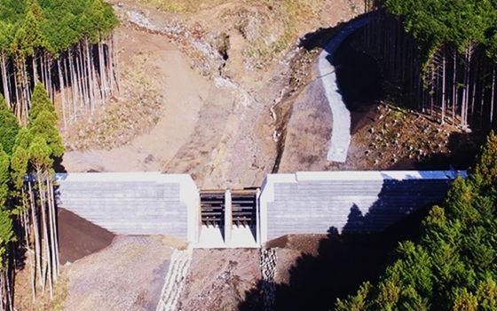 堰堤、流木捕捉工、山腹工などの砂防・治山構造物
