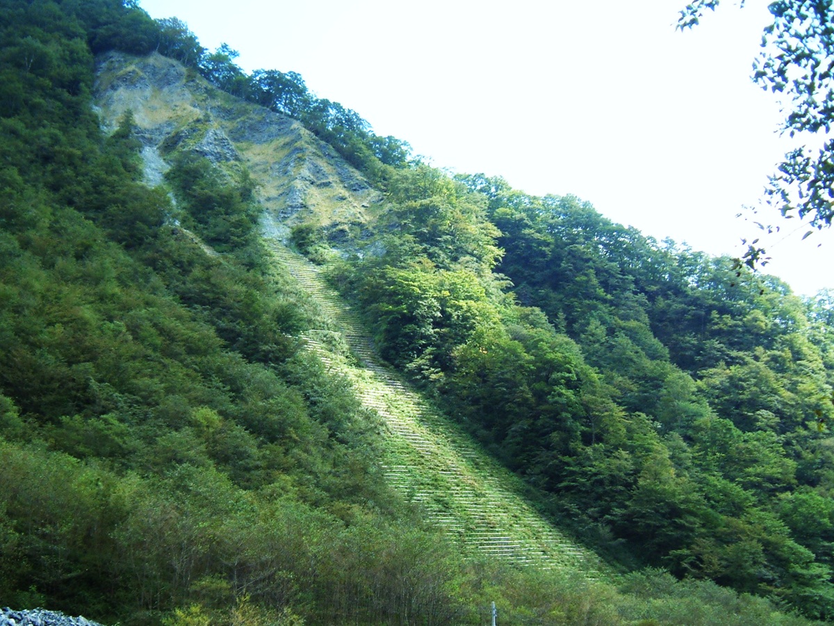nex_057.jpg