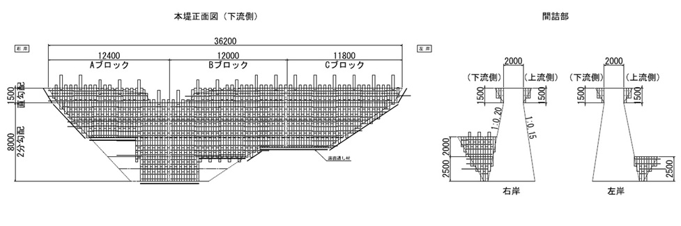 本堤正面図(下流側)