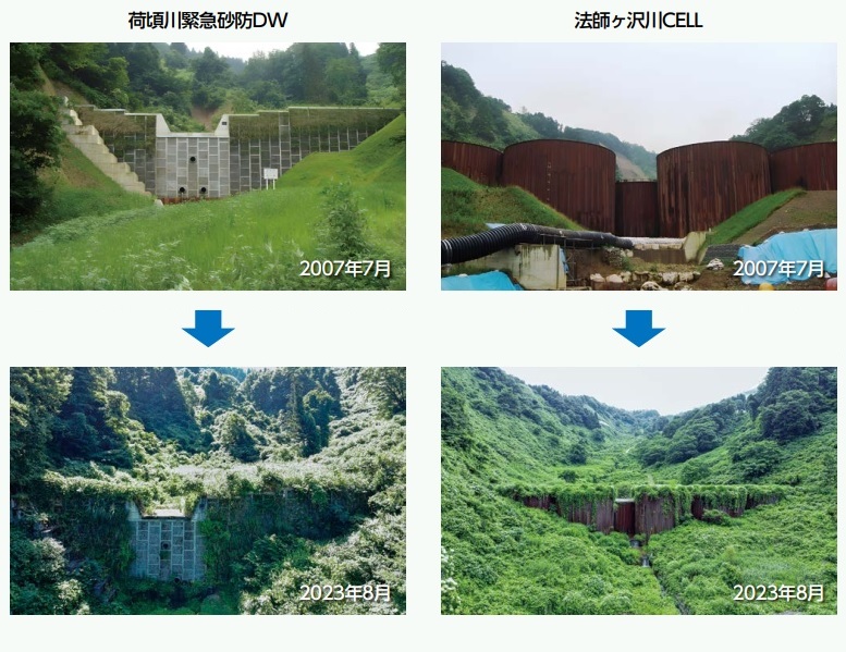 サンプル