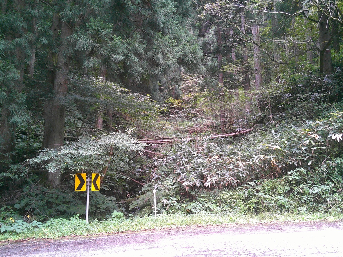 VCC道路防災対策工施工前