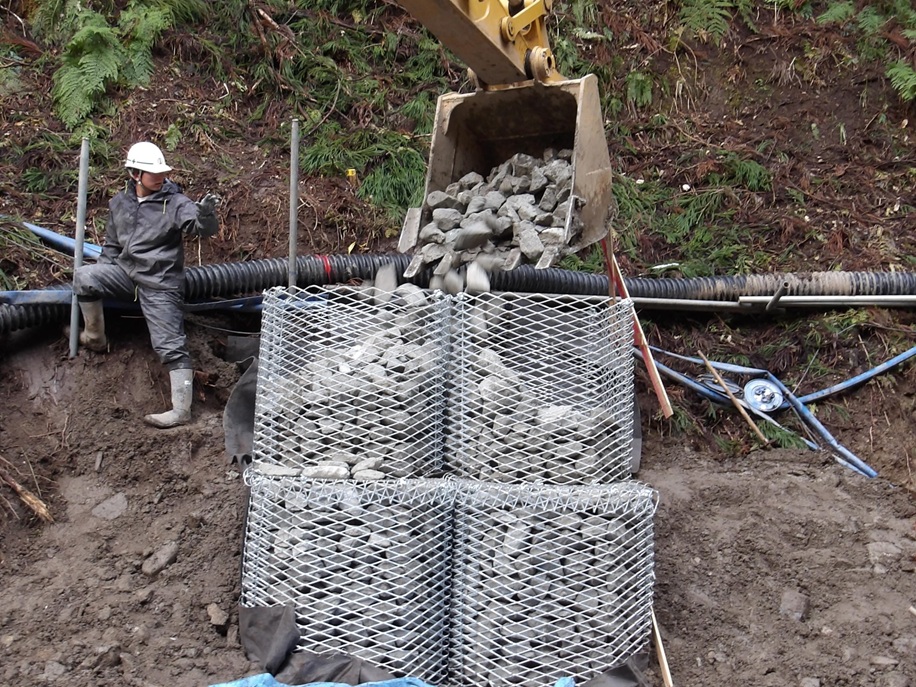 多角形EXセル　中詰め